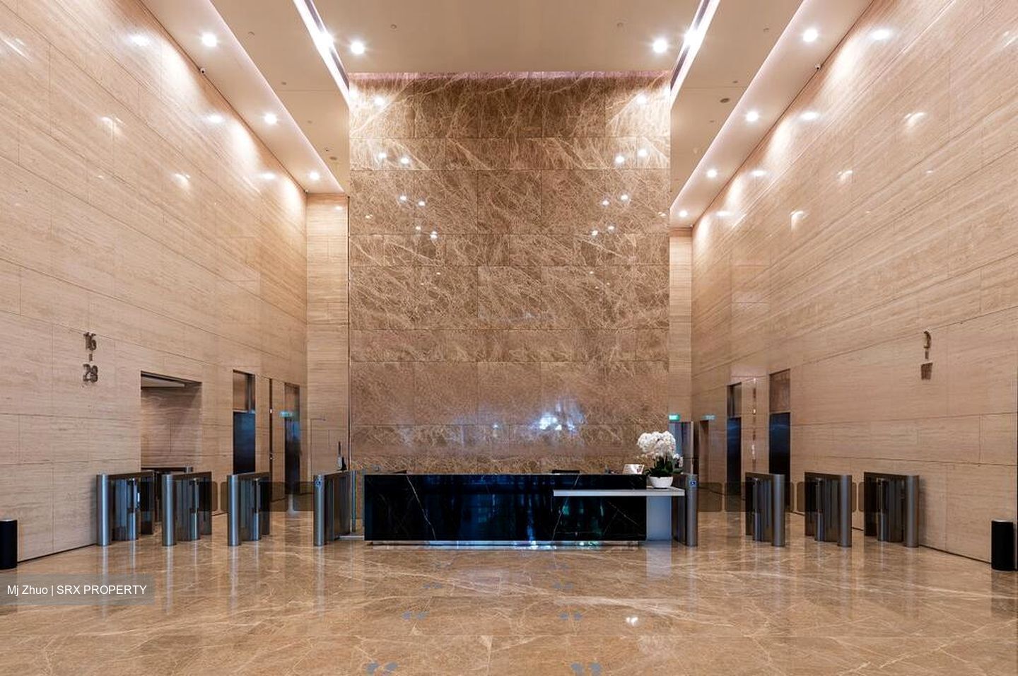 PLUS (D1), Office #457873981
